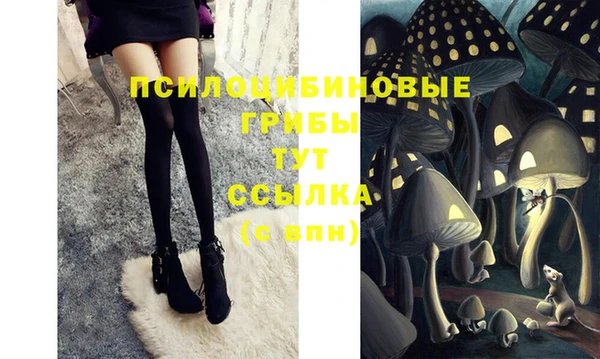 МДПВ Абинск
