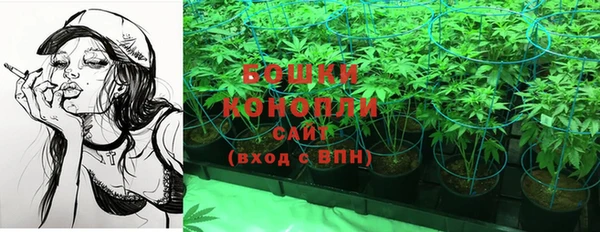 PSILOCYBIN Абдулино