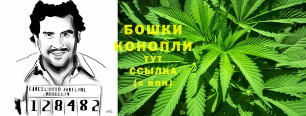PSILOCYBIN Абдулино
