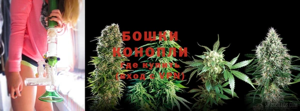 PSILOCYBIN Абдулино